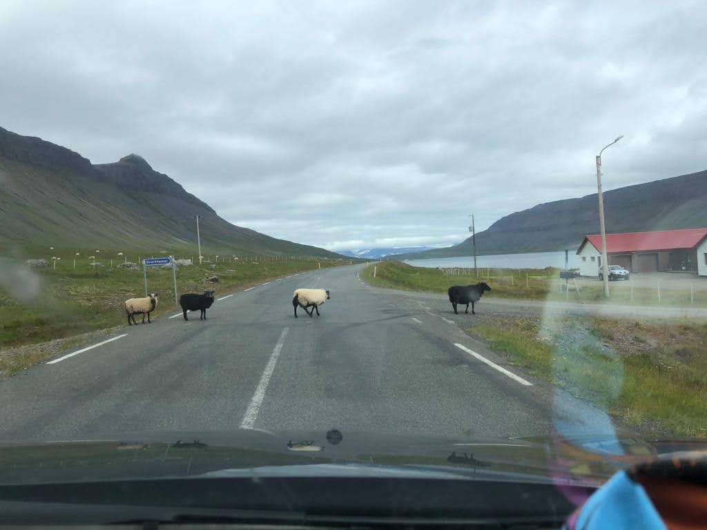 Hoofdwegen IJsland zomer